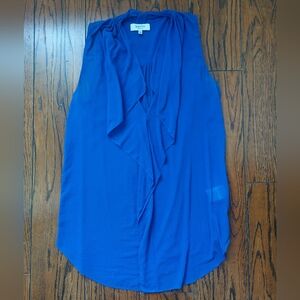 Aritzia Silk XXS Blouse - Wilfred, Blue